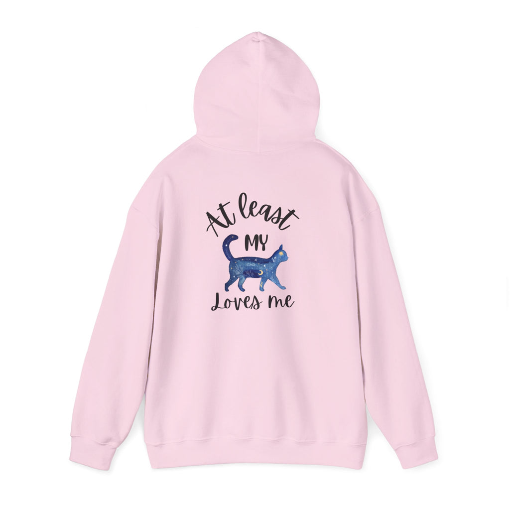 Funny Cat Lovers Hoodie, Kitty Hooded Jumper, Pet Owner Pullover