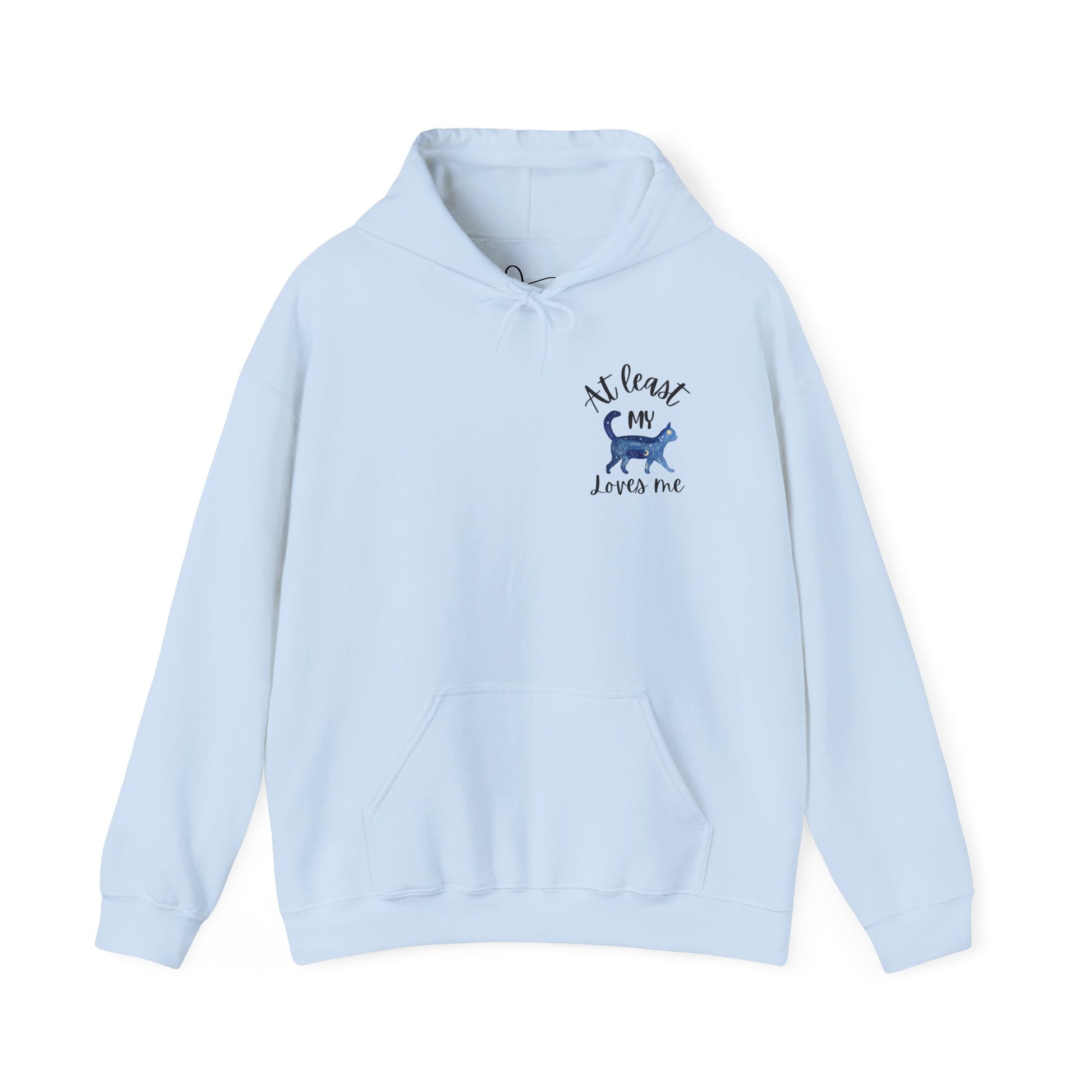 Funny Cat Lovers Hoodie, Kitty Hooded Jumper, Pet Owner Pullover