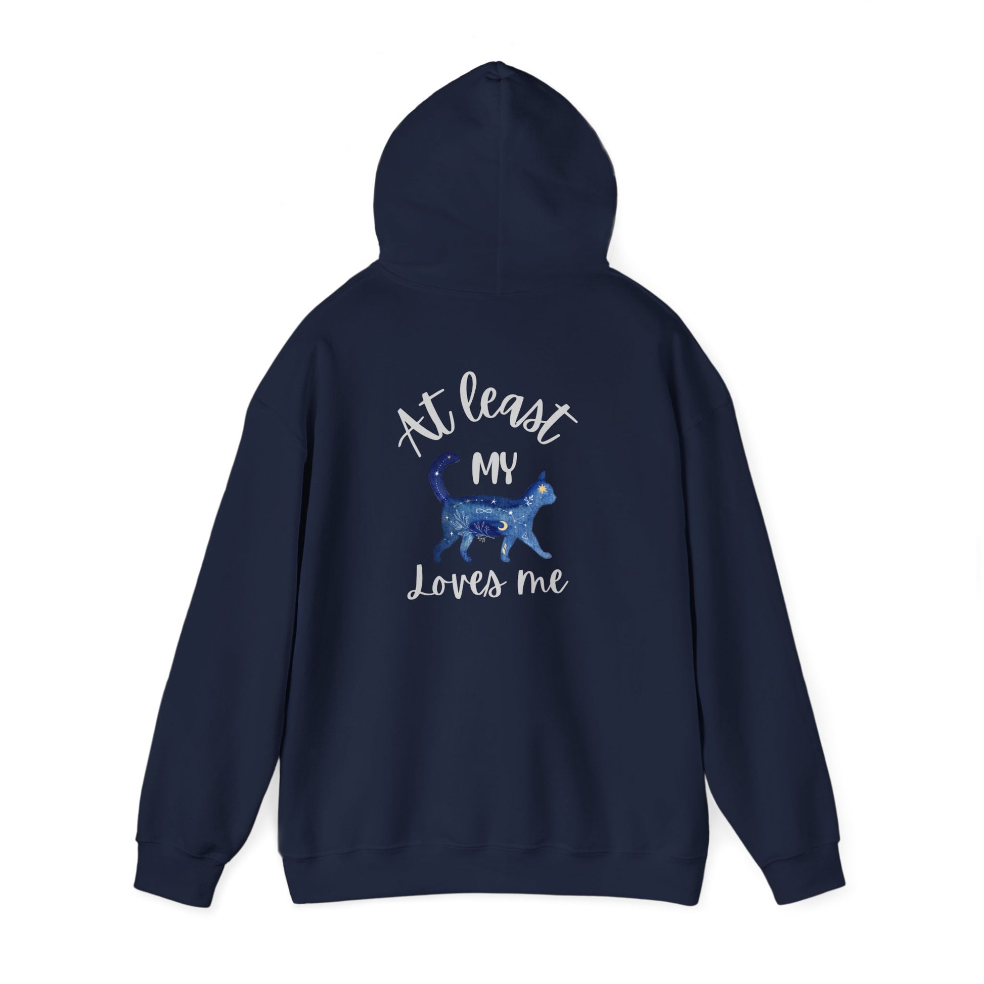 Funny Cat Lovers Hoodie, Kitty Hooded Jumper, Pet Owner Pullover