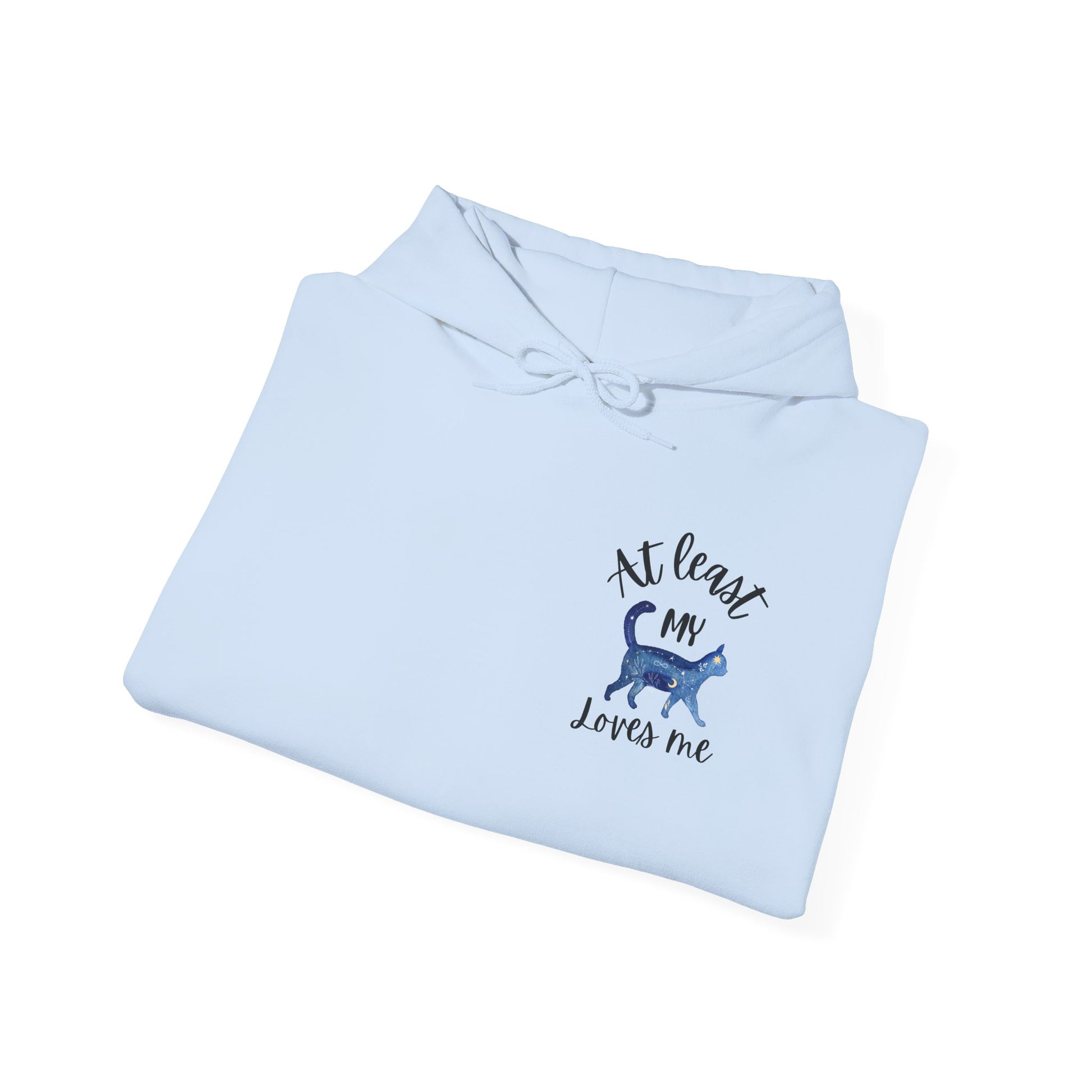 Funny Cat Lovers Hoodie, Kitty Hooded Jumper, Pet Owner Pullover