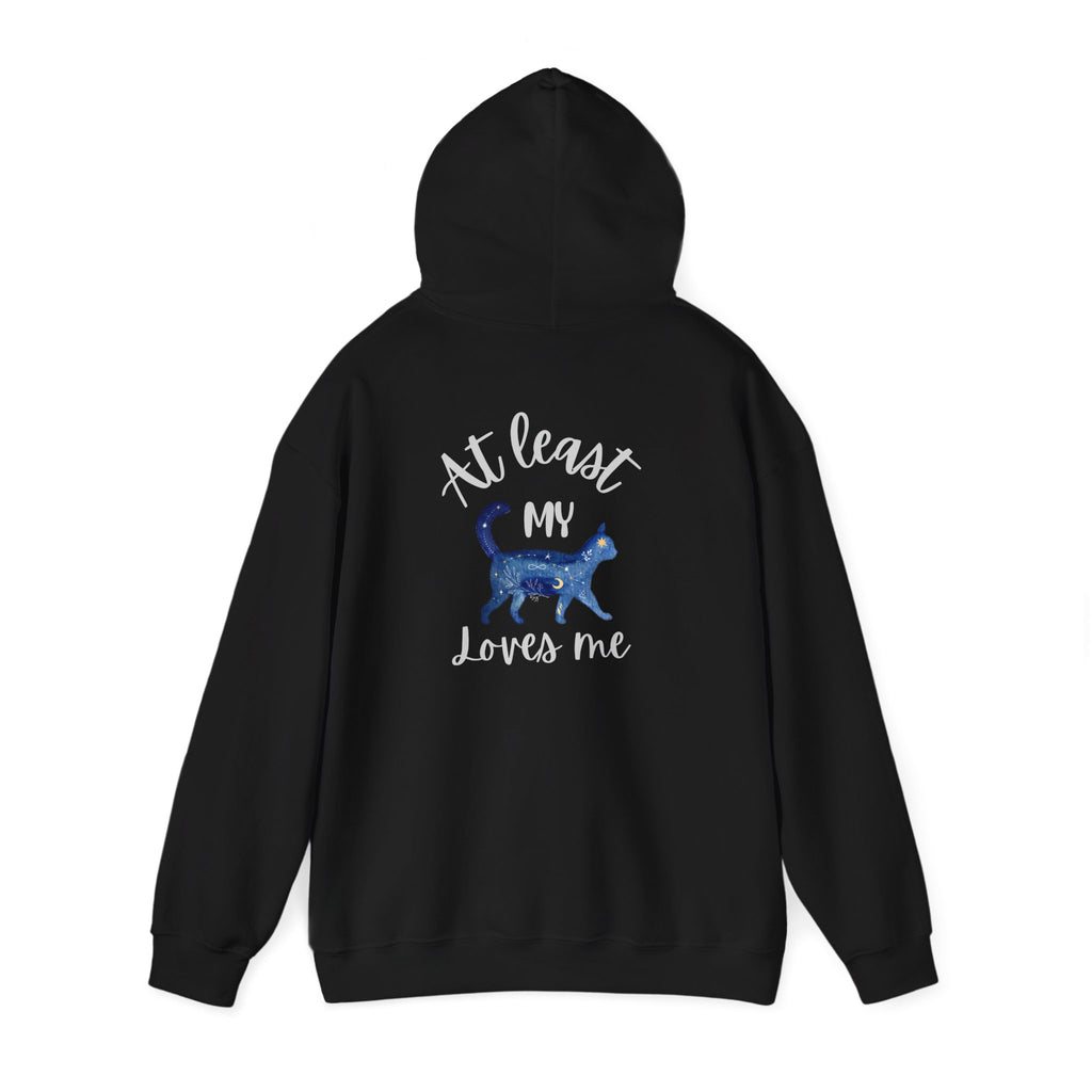 Funny Cat Lovers Hoodie, Kitty Hooded Jumper, Pet Owner Pullover