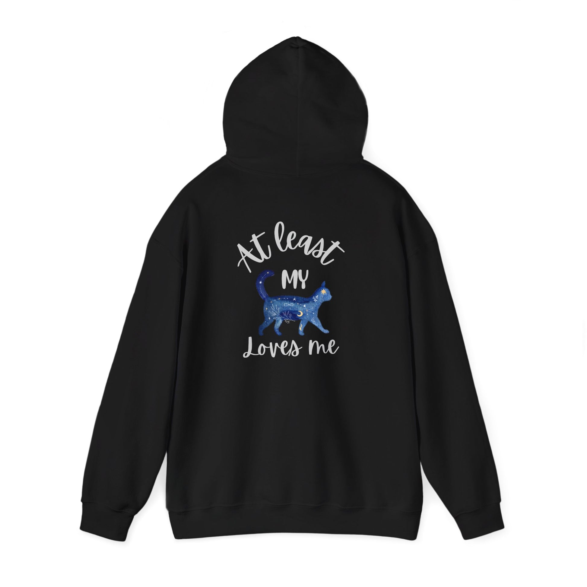 Funny Cat Lovers Hoodie, Kitty Hooded Jumper, Pet Owner Pullover
