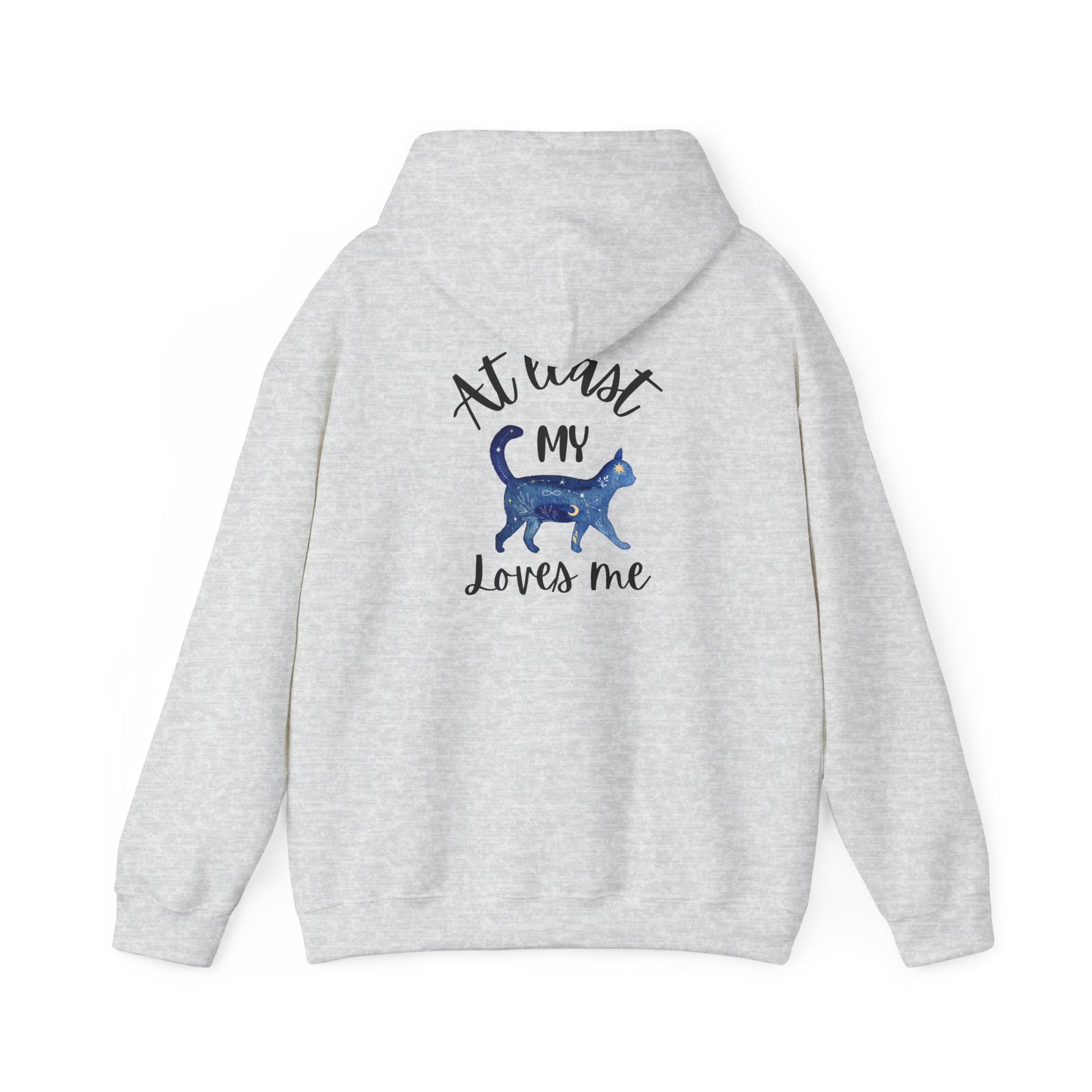 Funny Cat Lovers Hoodie, Kitty Hooded Jumper, Pet Owner Pullover
