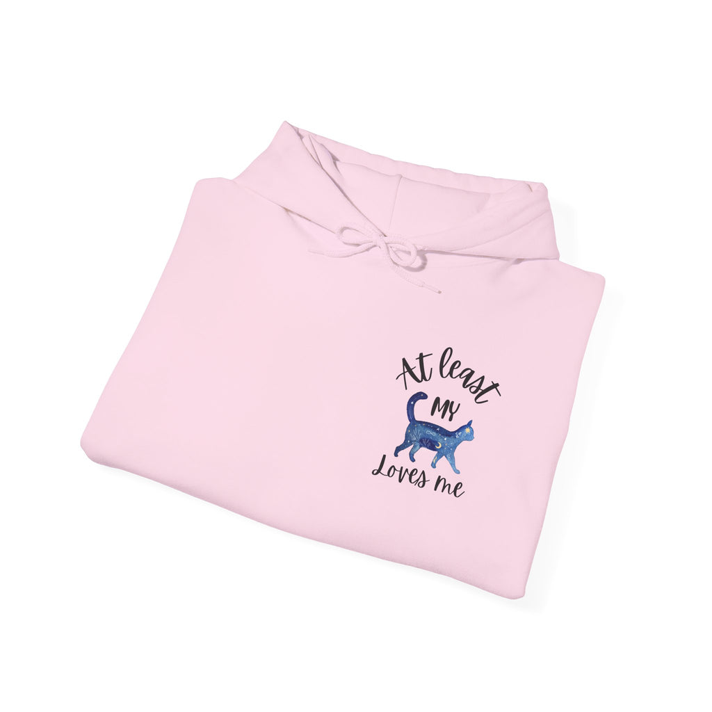 Funny Cat Lovers Hoodie, Kitty Hooded Jumper, Pet Owner Pullover