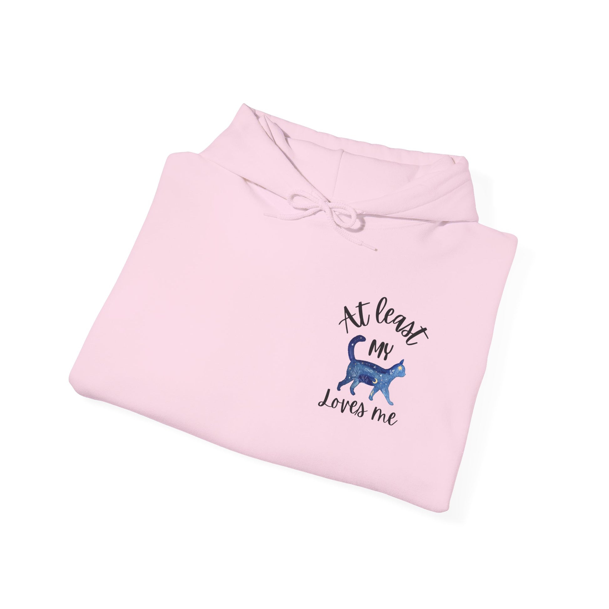 Funny Cat Lovers Hoodie, Kitty Hooded Jumper, Pet Owner Pullover