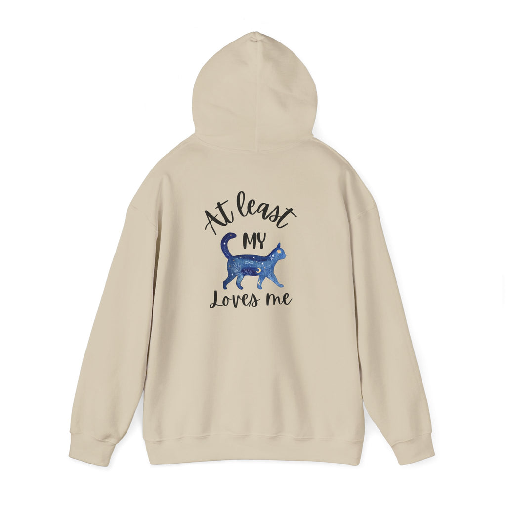 Funny Cat Lovers Hoodie, Kitty Hooded Jumper, Pet Owner Pullover