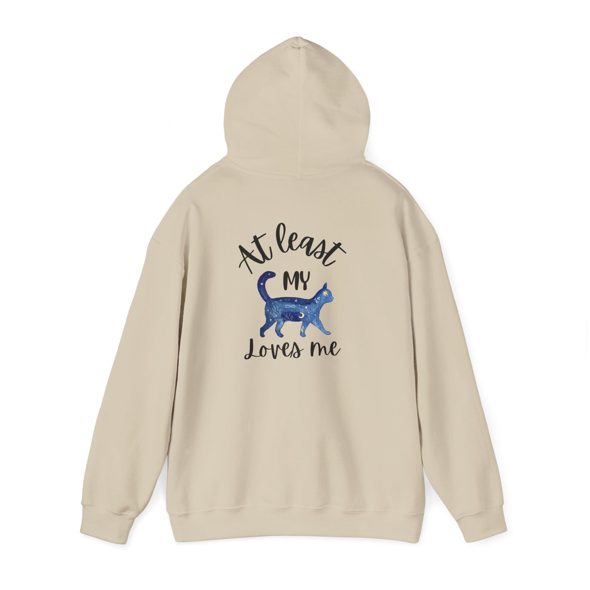 Funny Cat Lovers Hoodie, Kitty Hooded Jumper, Pet Owner Pullover