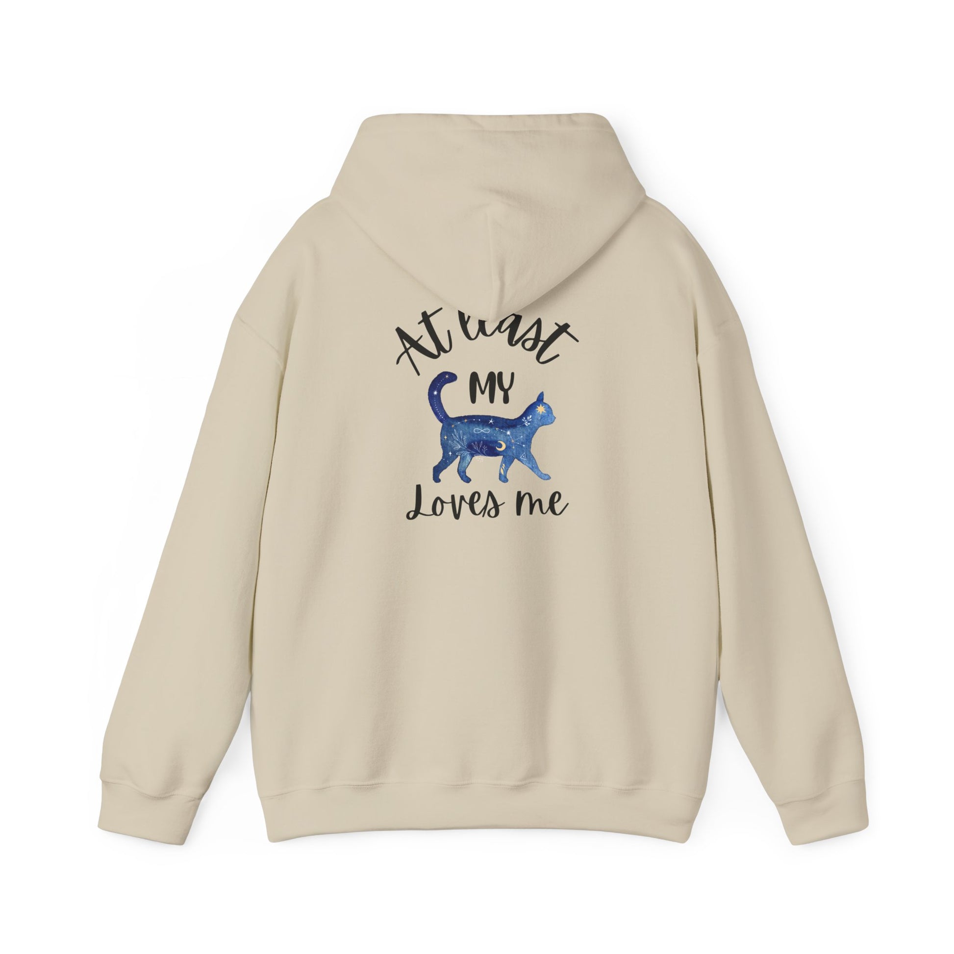 Funny Cat Lovers Hoodie, Kitty Hooded Jumper, Pet Owner Pullover