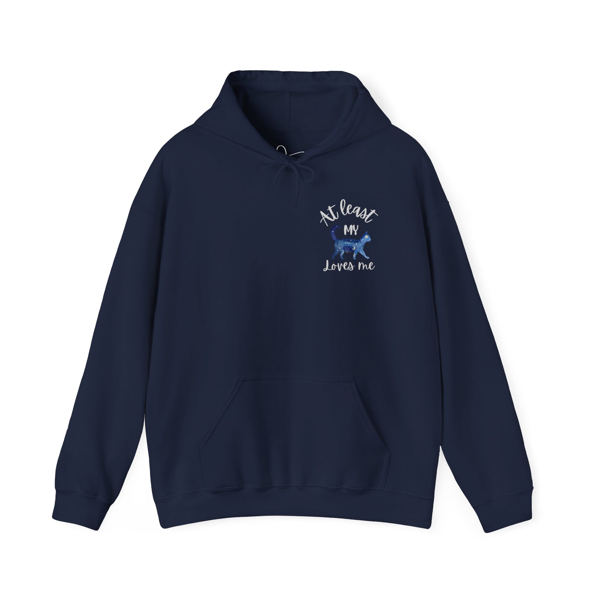 Funny Cat Lovers Hoodie, Kitty Hooded Jumper, Pet Owner Pullover