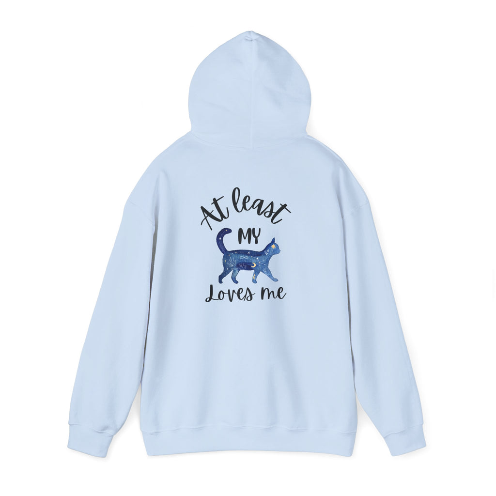 Funny Cat Lovers Hoodie, Kitty Hooded Jumper, Pet Owner Pullover