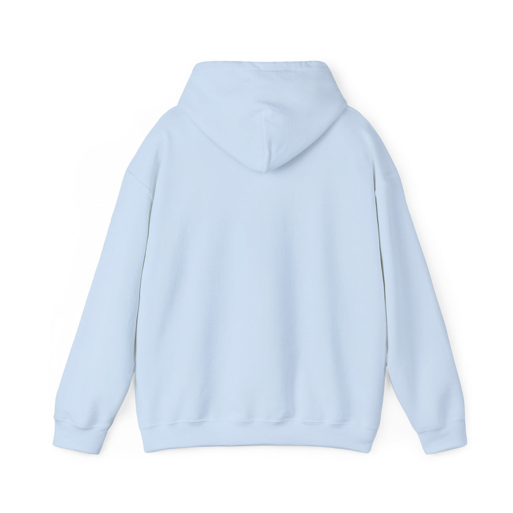 USA Graphic Heavy Blend™ Hoodie, Cozy Hoodie for Men and Women