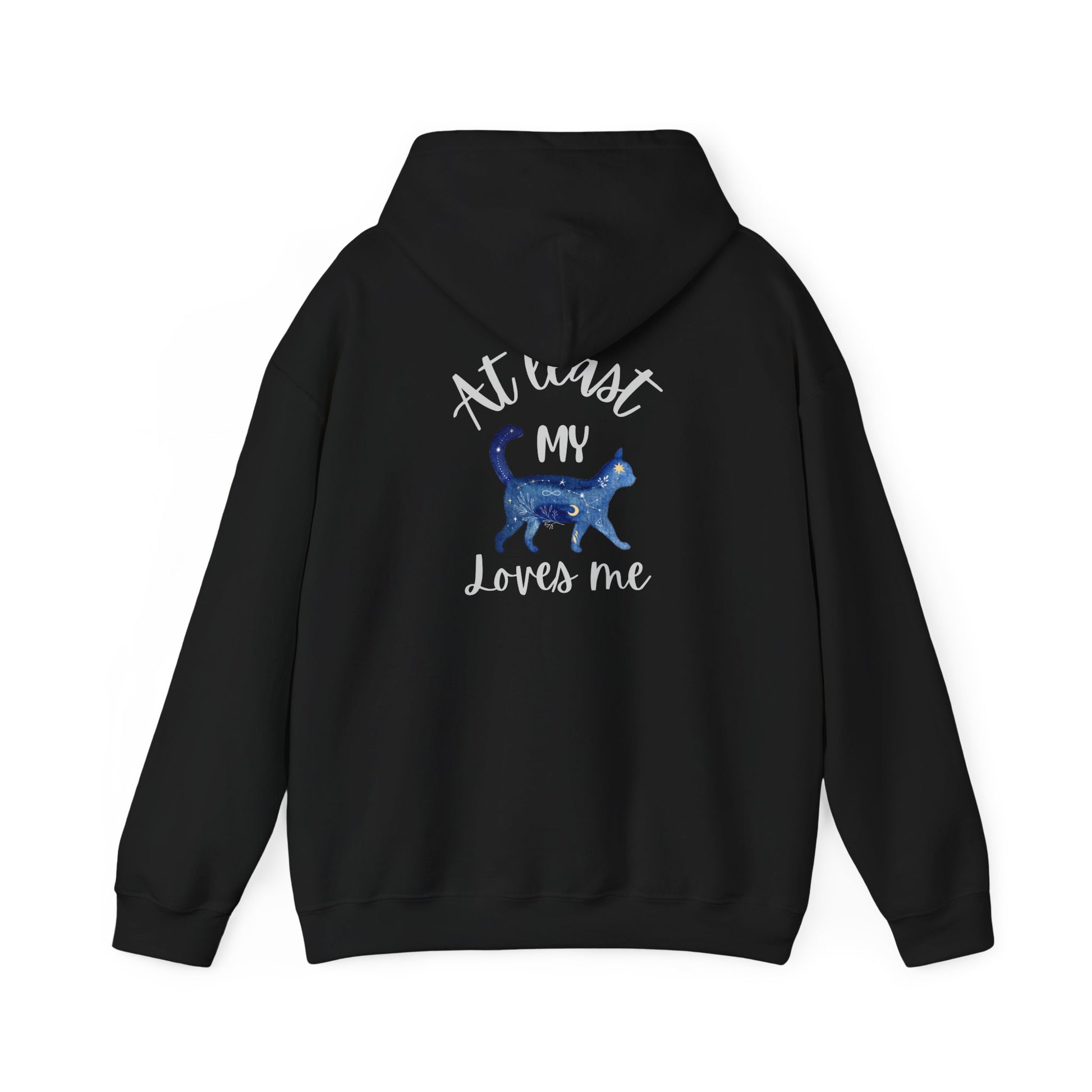 Funny Cat Lovers Hoodie, Kitty Hooded Jumper, Pet Owner Pullover