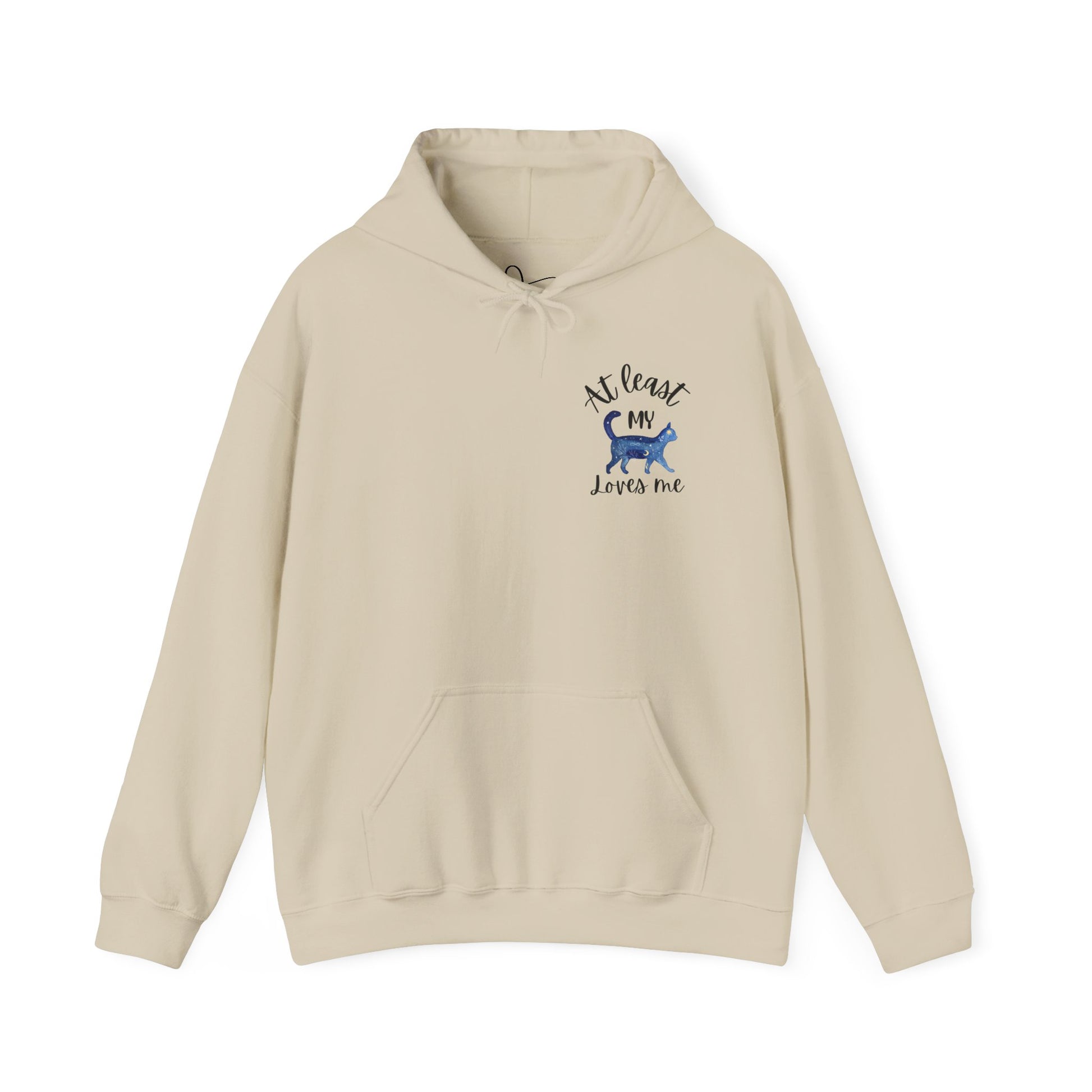 Funny Cat Lovers Hoodie, Kitty Hooded Jumper, Pet Owner Pullover