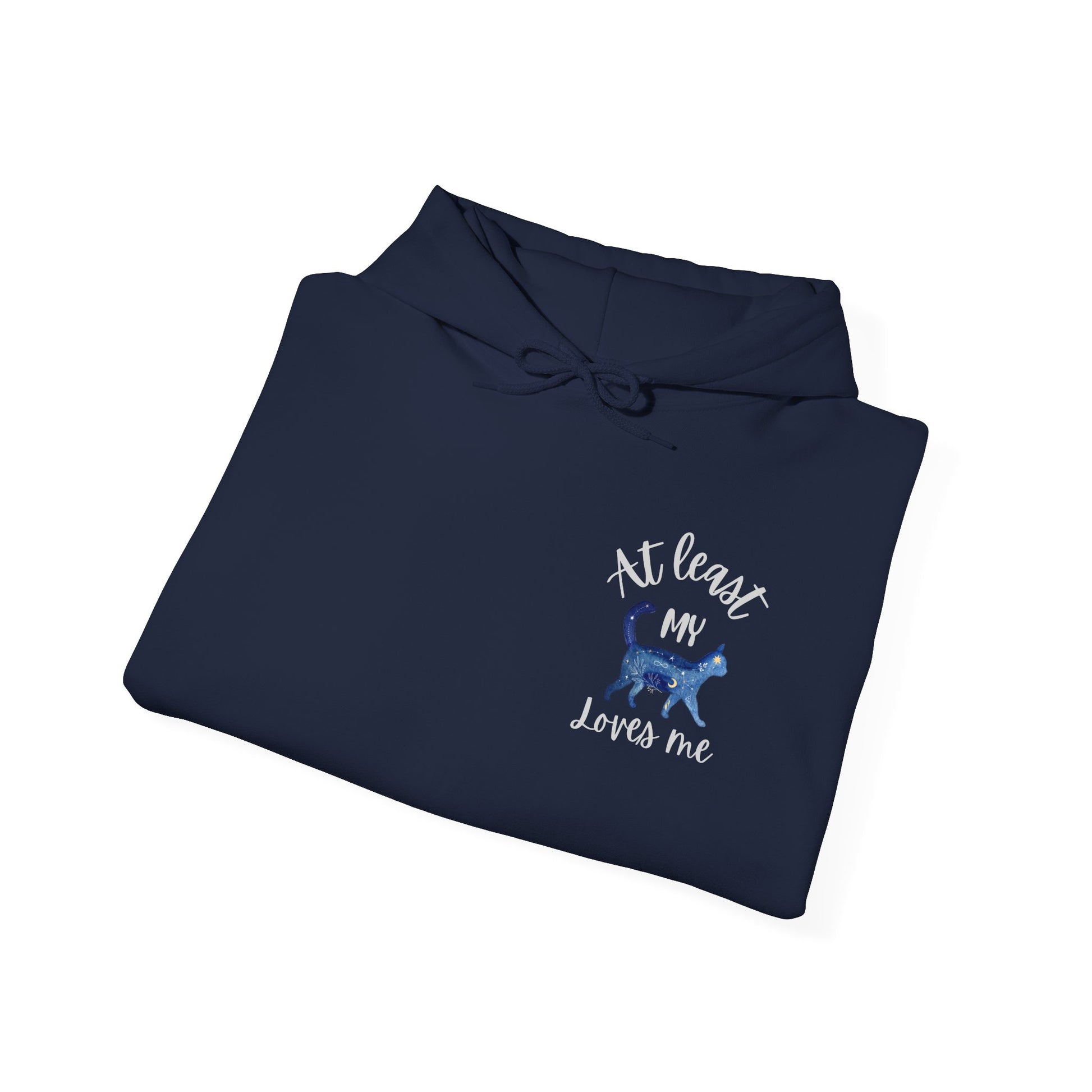 Funny Cat Lovers Hoodie, Kitty Hooded Jumper, Pet Owner Pullover