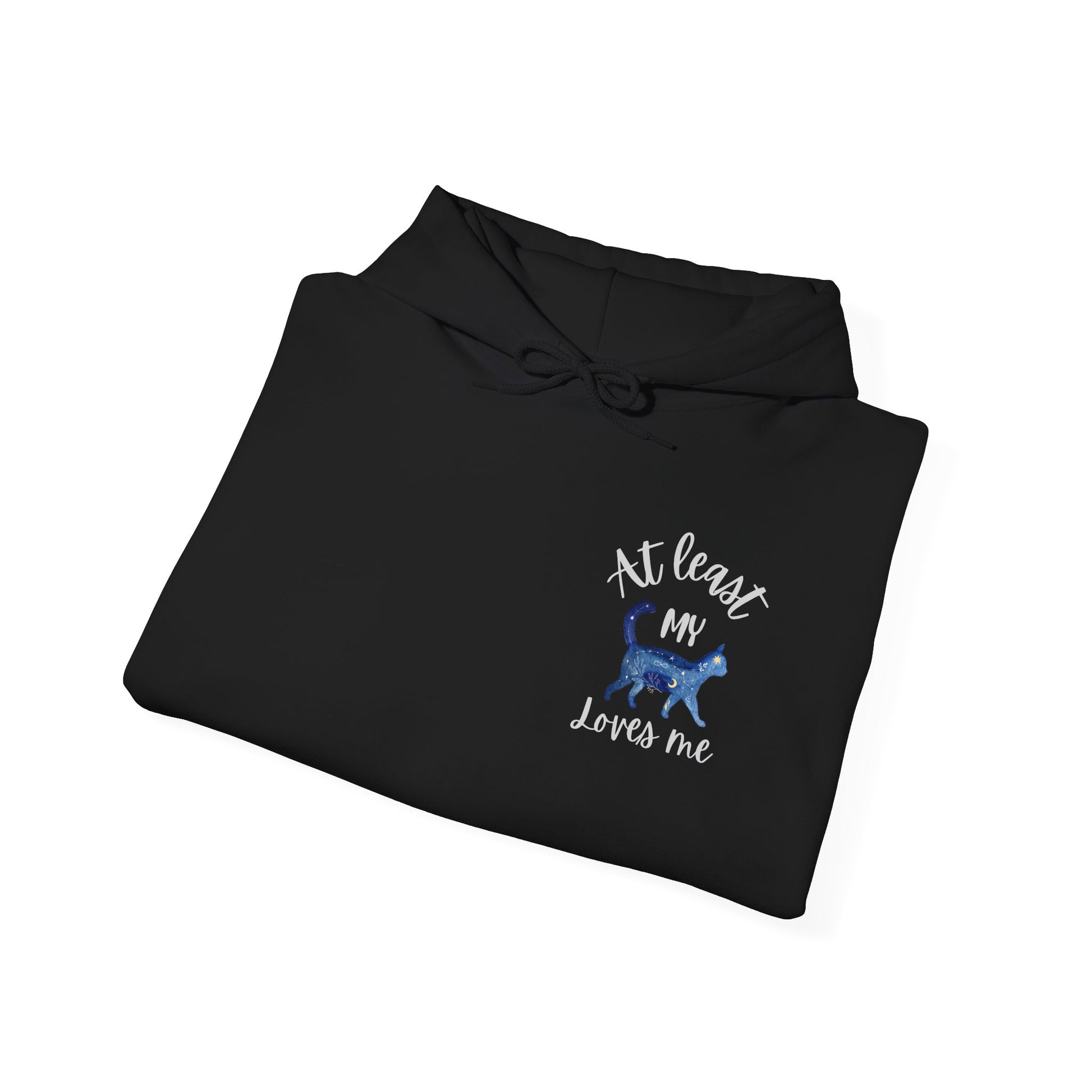 Funny Cat Lovers Hoodie, Kitty Hooded Jumper, Pet Owner Pullover