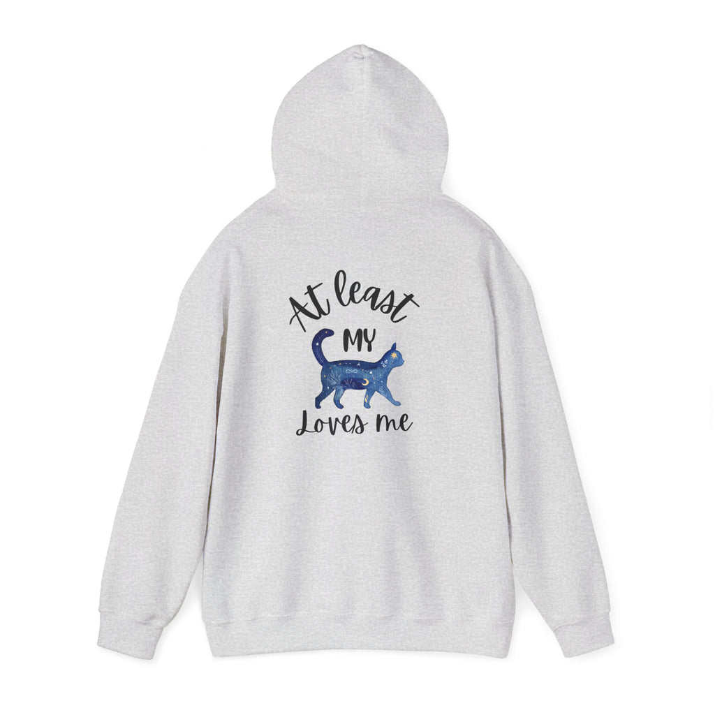 Funny Cat Lovers Hoodie, Kitty Hooded Jumper, Pet Owner Pullover