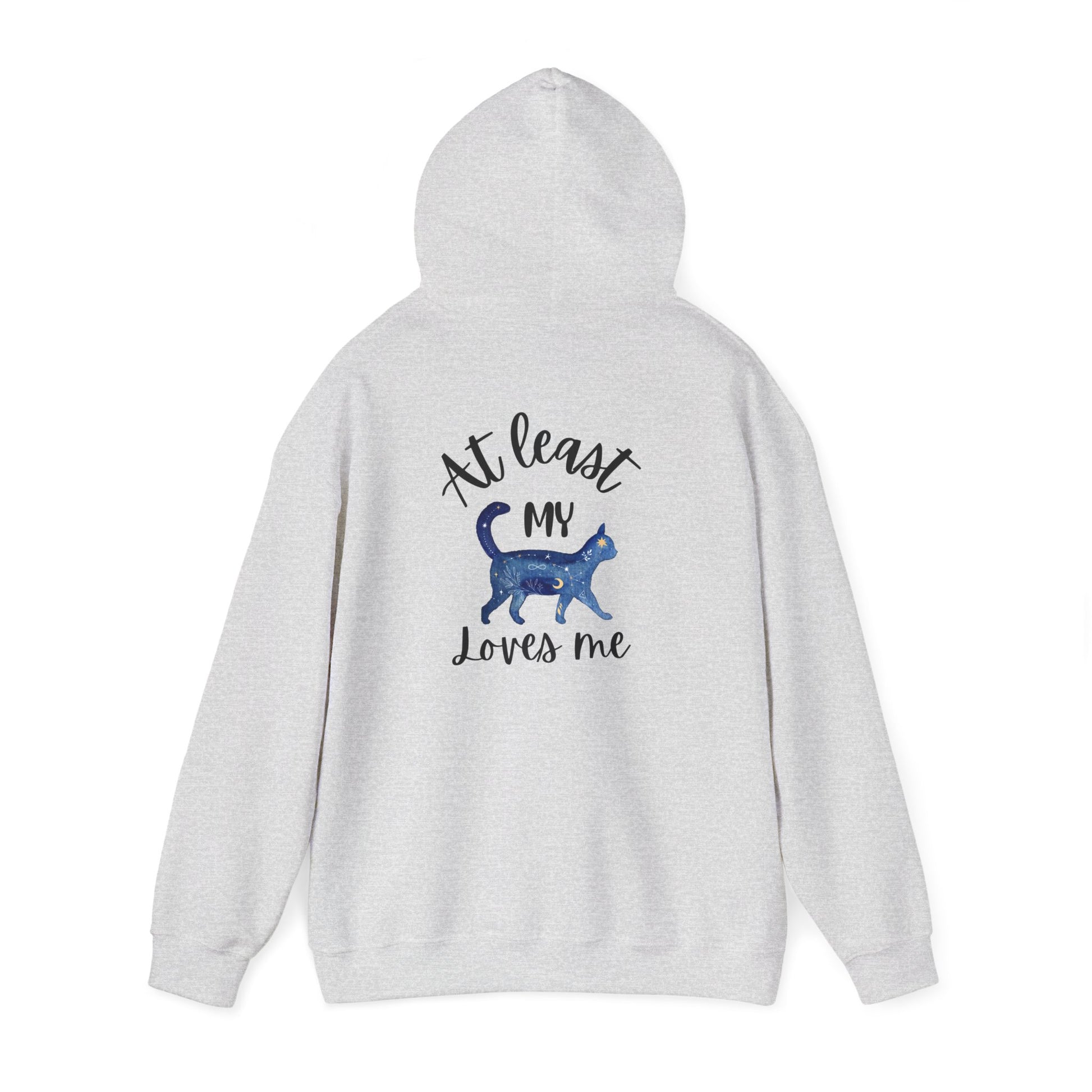 Funny Cat Lovers Hoodie, Kitty Hooded Jumper, Pet Owner Pullover
