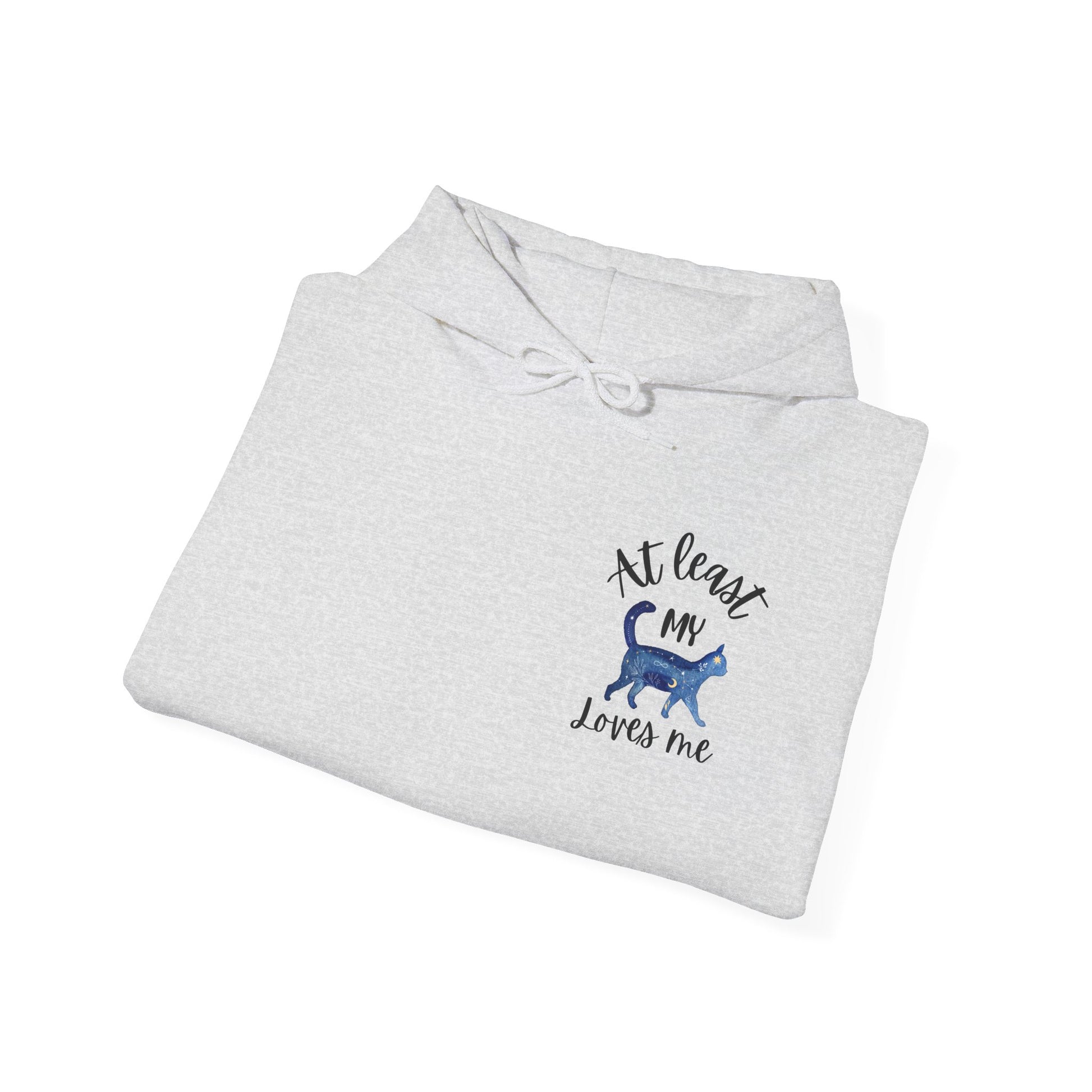 Funny Cat Lovers Hoodie, Kitty Hooded Jumper, Pet Owner Pullover