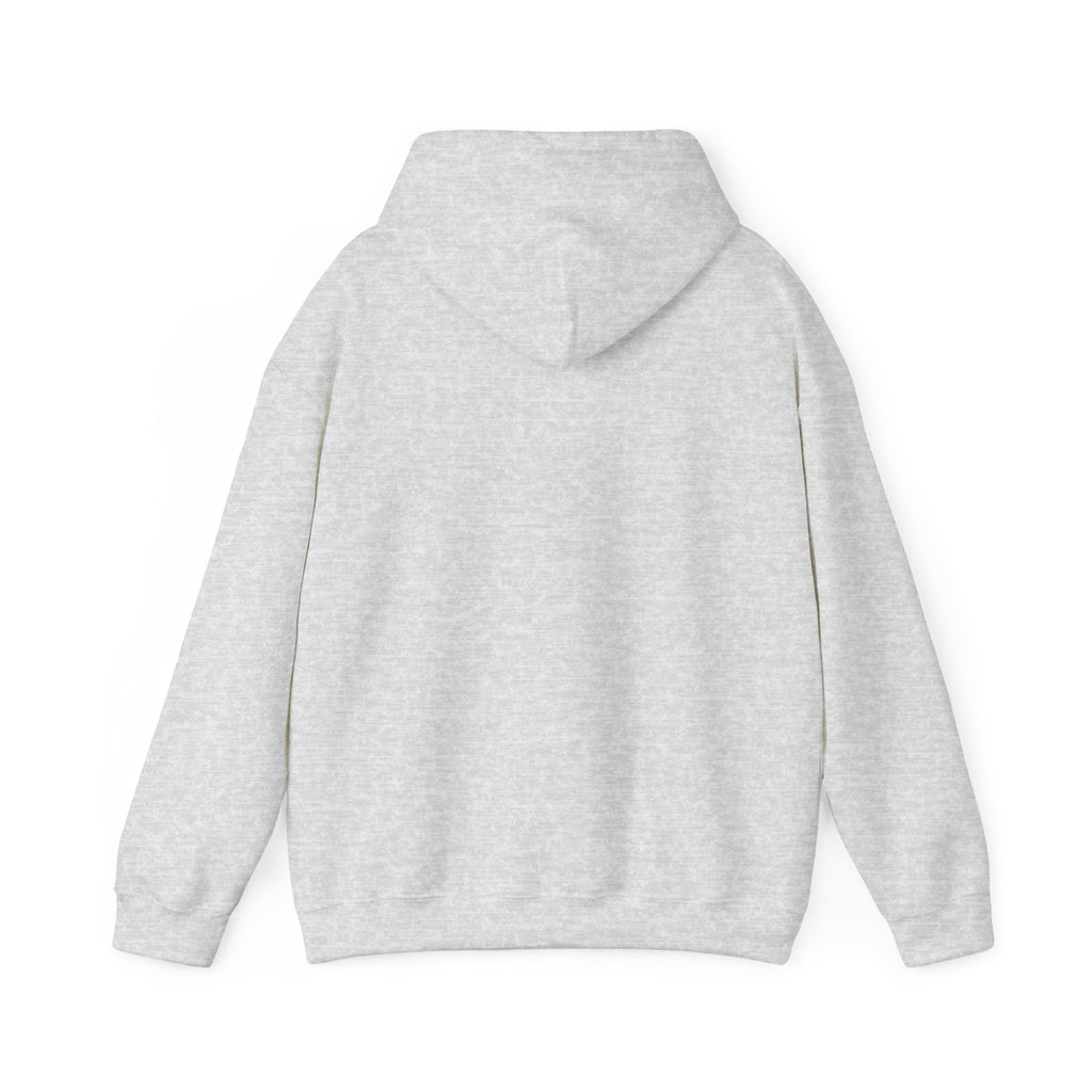 USA Graphic Heavy Blend™ Hoodie, Cozy Hoodie for Men and Women