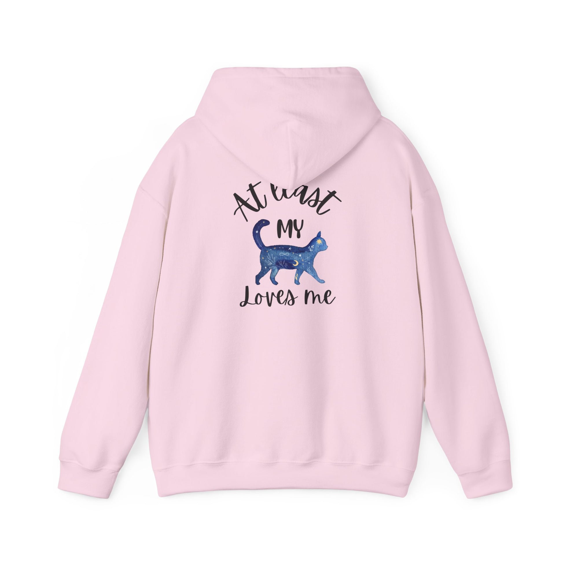 Funny Cat Lovers Hoodie, Kitty Hooded Jumper, Pet Owner Pullover