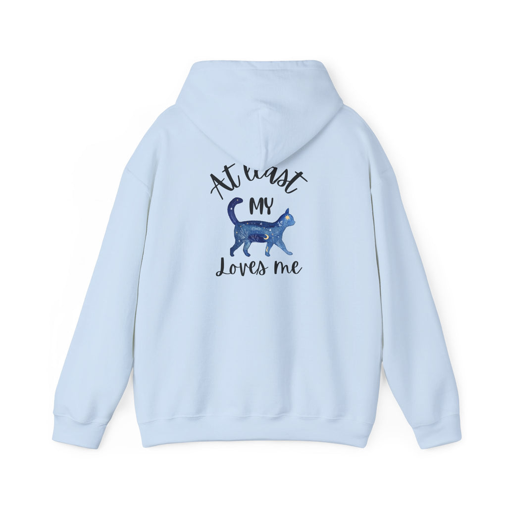 Funny Cat Lovers Hoodie, Kitty Hooded Jumper, Pet Owner Pullover
