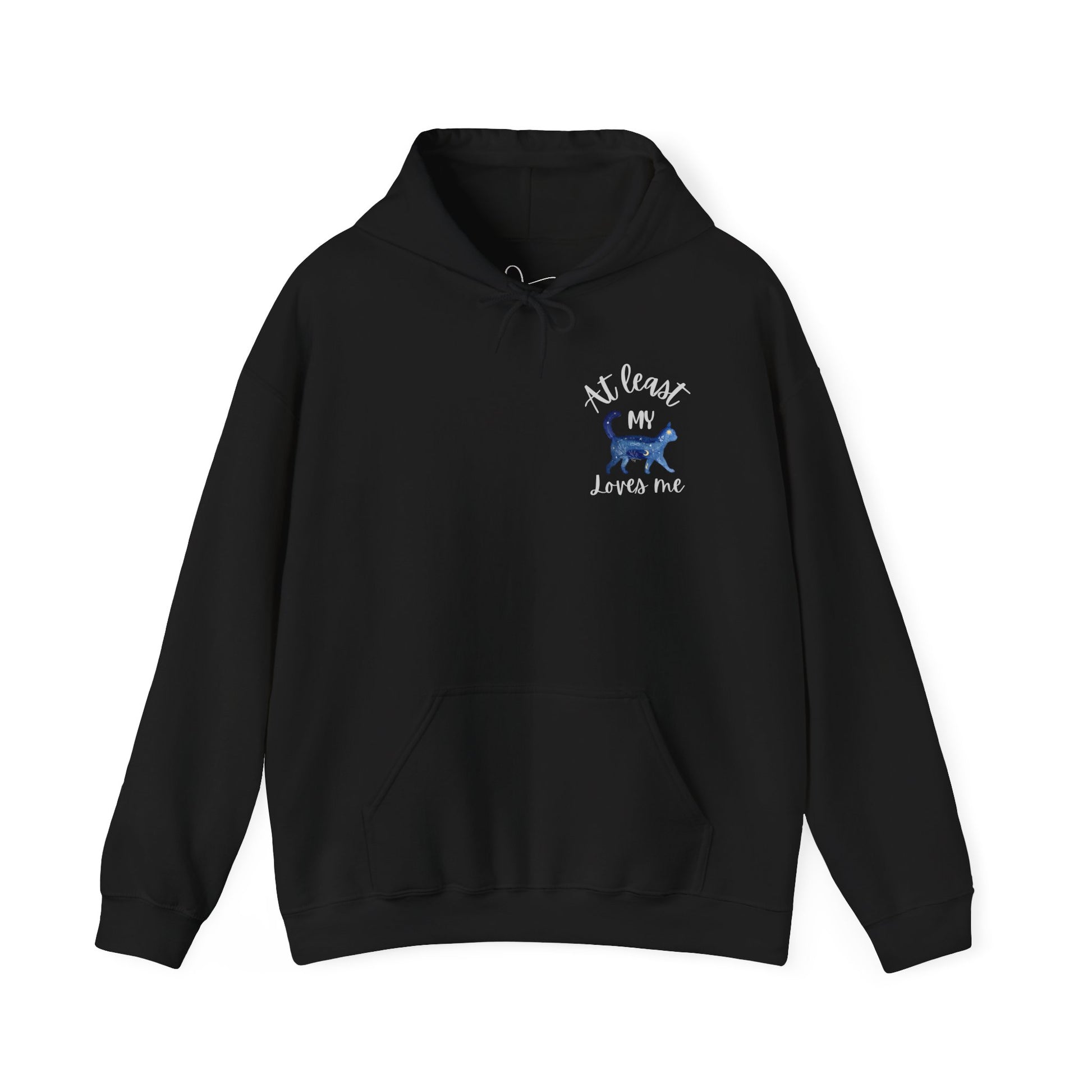 Funny Cat Lovers Hoodie, Kitty Hooded Jumper, Pet Owner Pullover