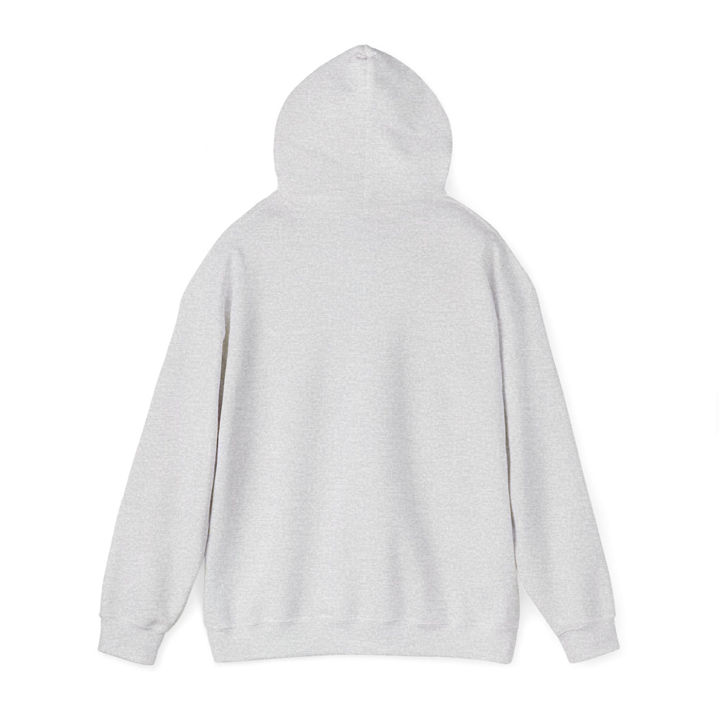USA Graphic Heavy Blend™ Hoodie, Cozy Hoodie for Men and Women