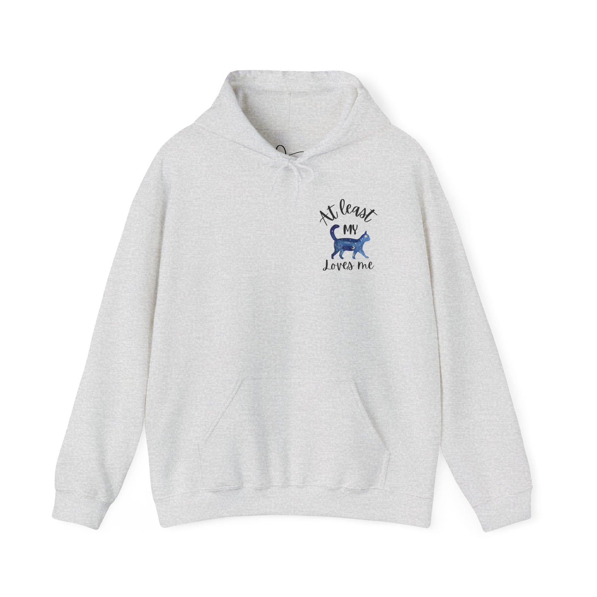 Funny Cat Lovers Hoodie, Kitty Hooded Jumper, Pet Owner Pullover