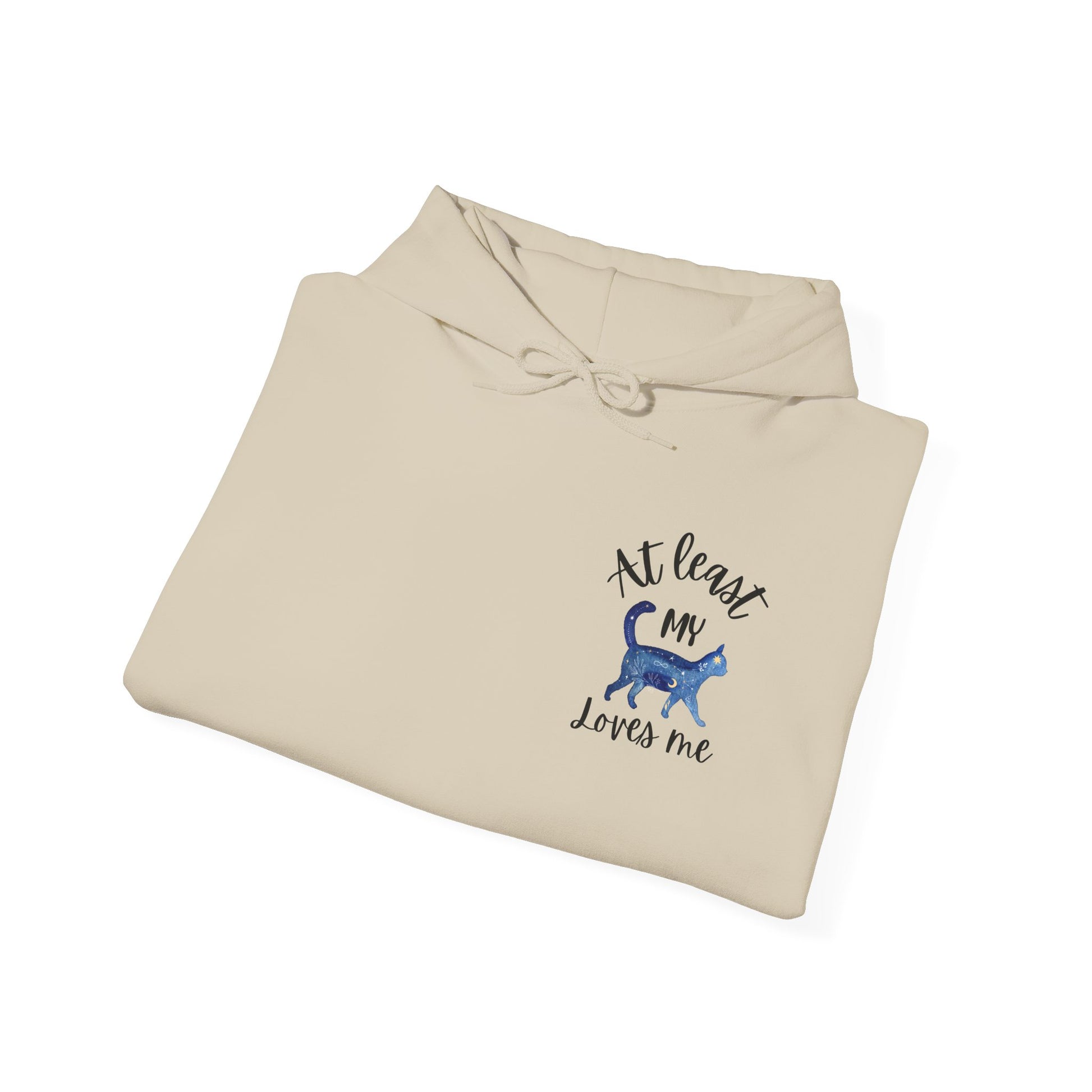 Funny Cat Lovers Hoodie, Kitty Hooded Jumper, Pet Owner Pullover